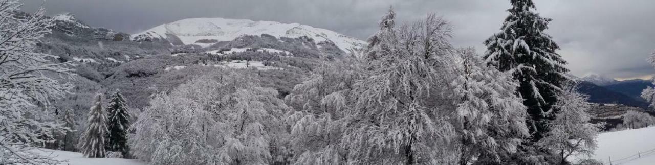 Garni Fobbie Hotel เบรนโตนิโก ภายนอก รูปภาพ