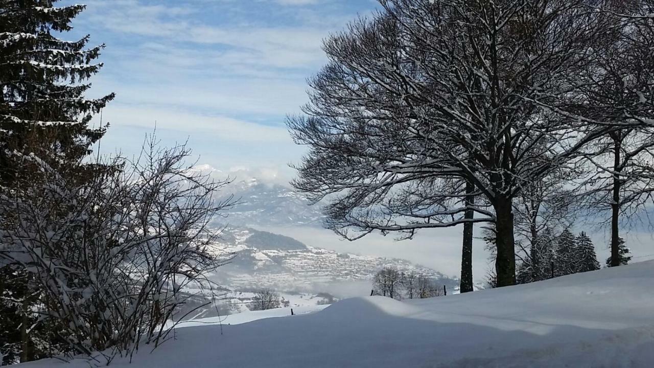 Garni Fobbie Hotel เบรนโตนิโก ภายนอก รูปภาพ